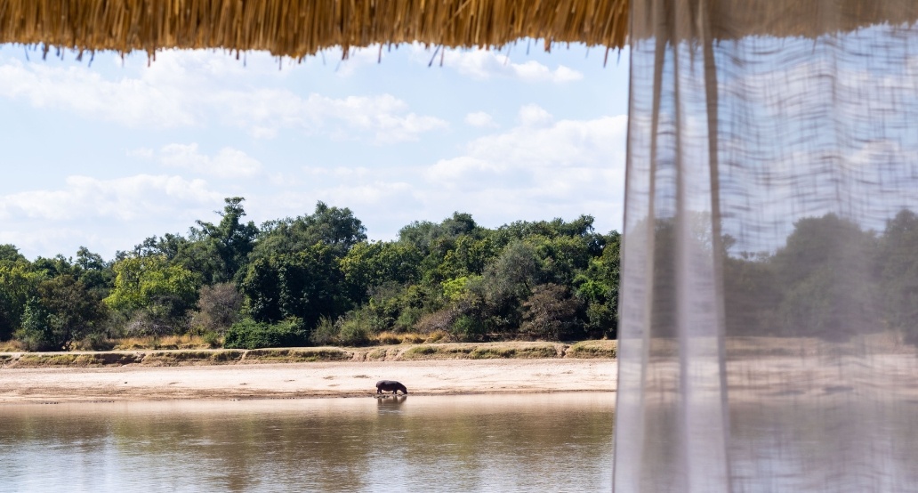 1 Time + Tide Mchenja, Zambie – South Luangwa | Exclusive Tours