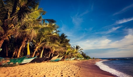 Srí Lanka – ostrov rajského vyhnanství | Exclusive Tours