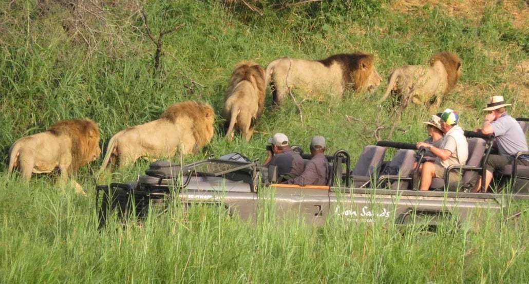 4 Lion Sands River Lodge, Jihoafrická republika – Sabi Sands | Exclusive Tours