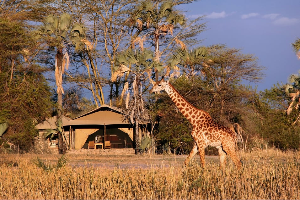 Nejlepší lodge tanzanských safari