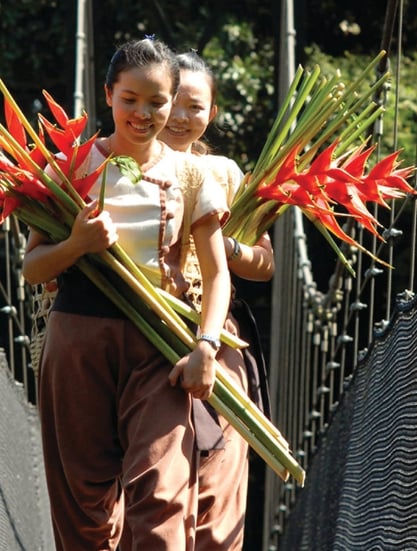 Four Seasons Tented Camp Golden Triangle, Thajsko – Chiang Rai