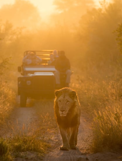 Lion Sands River Lodge, Jihoafrická republika – Sabi Sands