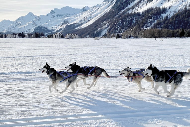 Carlton Hotel St Moritz, Švýcarsko – Svatý Mořic | Exclusive Tours CH_Husky-Schlittenfahrt_01