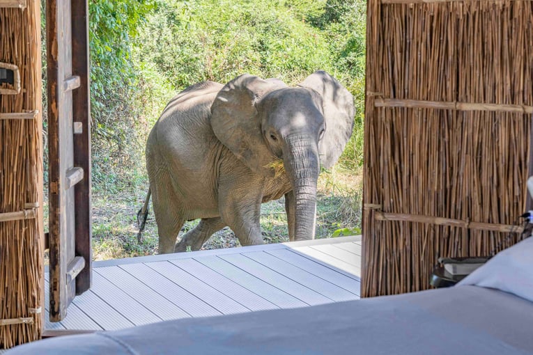 Chinzombo Luxury Safari Tent 15