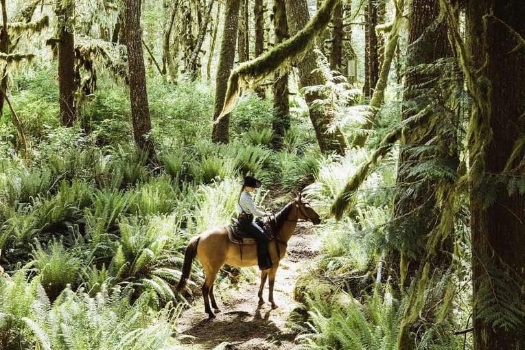 Clayoquot Wilderness Lodge, Kanada – Britská Kolumbie Horseback-Riding