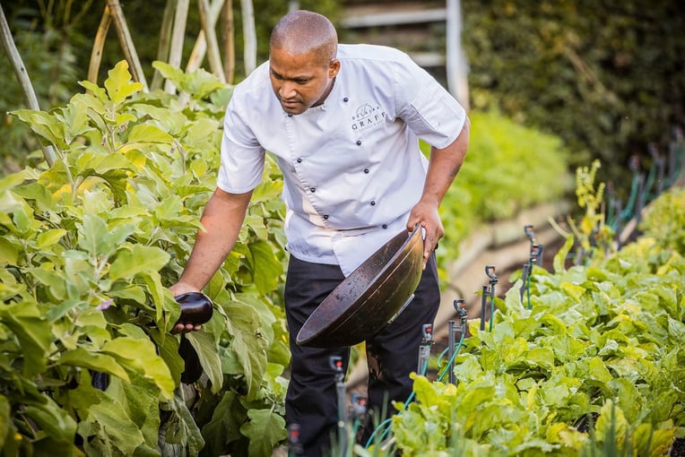 Delaire Graff Estate | Excluaive Tours Chef-Virgil-Khan-picking-organic-vegetables-in-the-Delaire-Graff-Estate-kitchen-Gardens-1900x1520