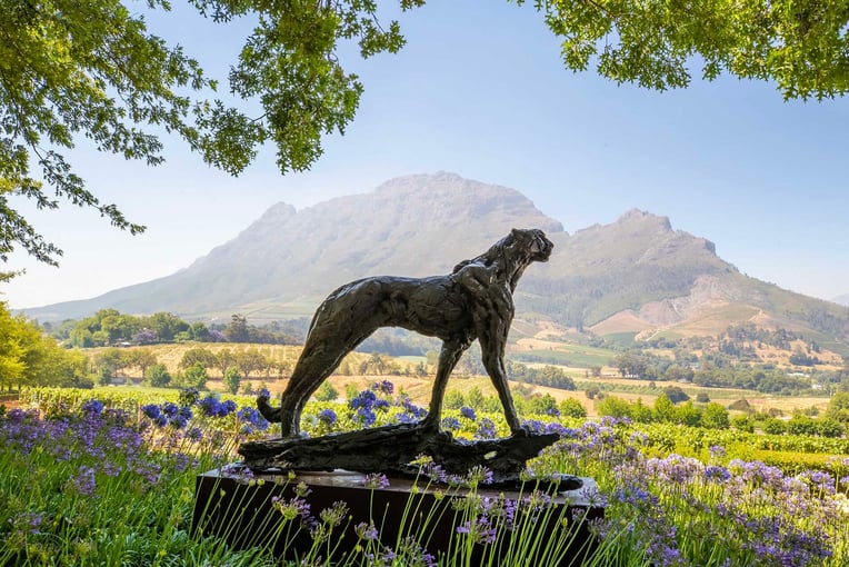 Delaire Graff Estate | Excluaive Tours Dylan-Lewis-Cheetah-sculpture-in-the-gardens-of-Delaire-Graff-Estate