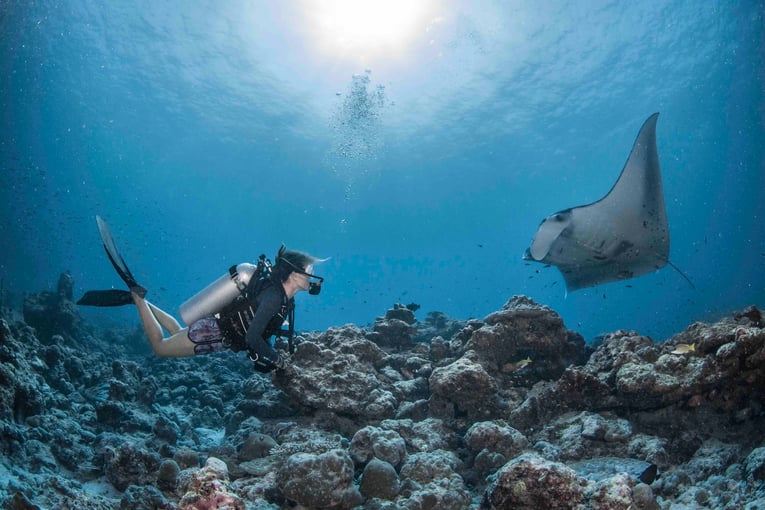 InterContinental Maldives_The Manta Trust3