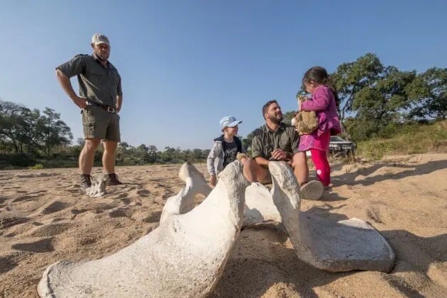 Jock Safari Lodge, Jihoafrická republika – Krugerův národní park kids_on_safari