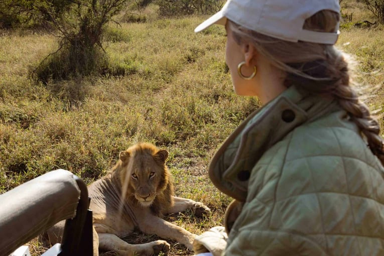 Malewane Lodge at Royal Malewane | Exclusive Tours RM game drive lion