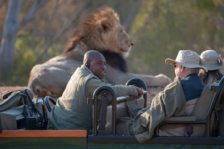 Malewane Lodge at Royal Malewane | Exclusive Tours RM-Drive In The Wild