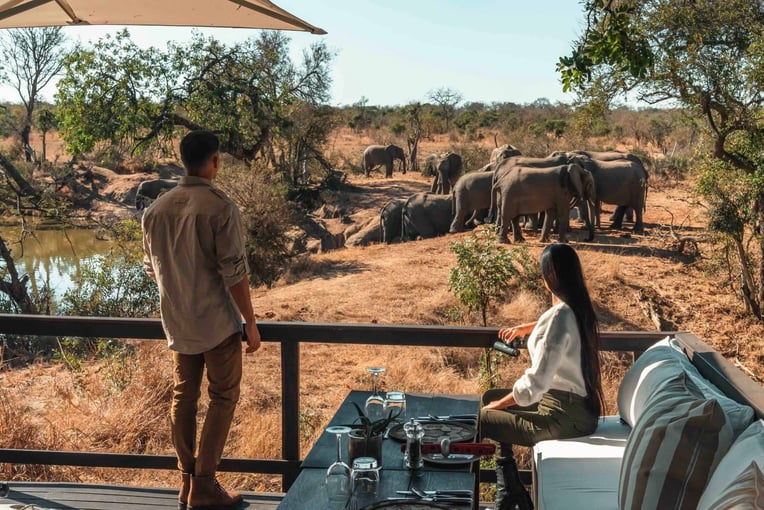 Malewane Lodge at Royal Malewane | Exclusive Tours rm the lodge dining elephants