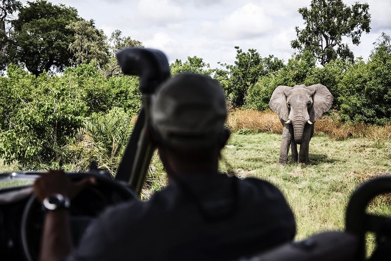 Mombo Camp, Botswana – Masarwa | Exclusive Tours mombo-activities-game-drive