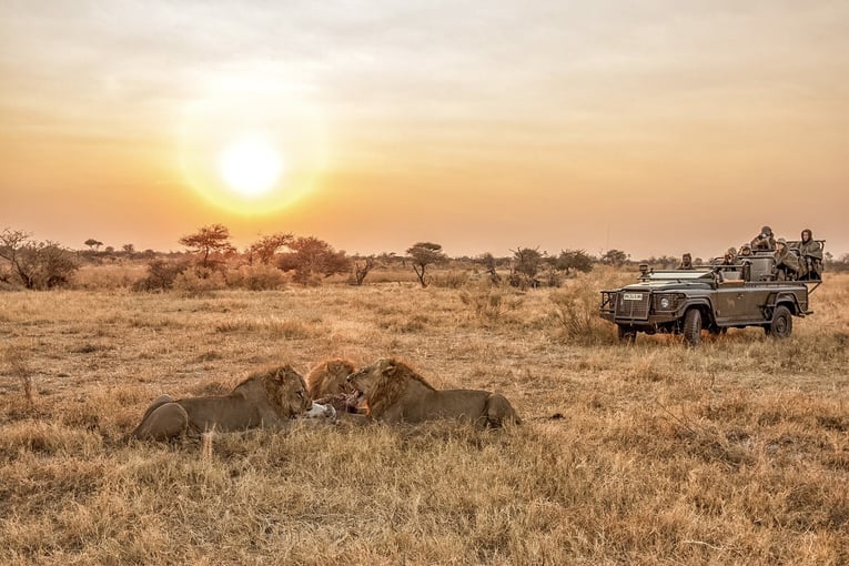 Mombo Camp, Botswana – Masarwa | Exclusive Tours wilderness-chitabe-botswana-gallery-1