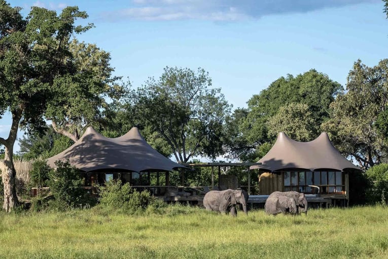 Mombo Camp, Botswana – Masarwa | Exclusive Tours wilderness-mombo-botswana-gallery-1