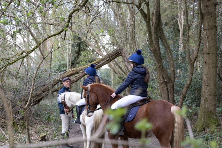 The Grove, Velká Británie – Hertfordshire | Exclusive Tours    1. Main